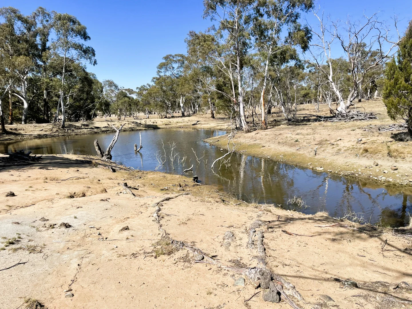 Additional image 30 of 49 Greystone Road, Binjura NSW 2630