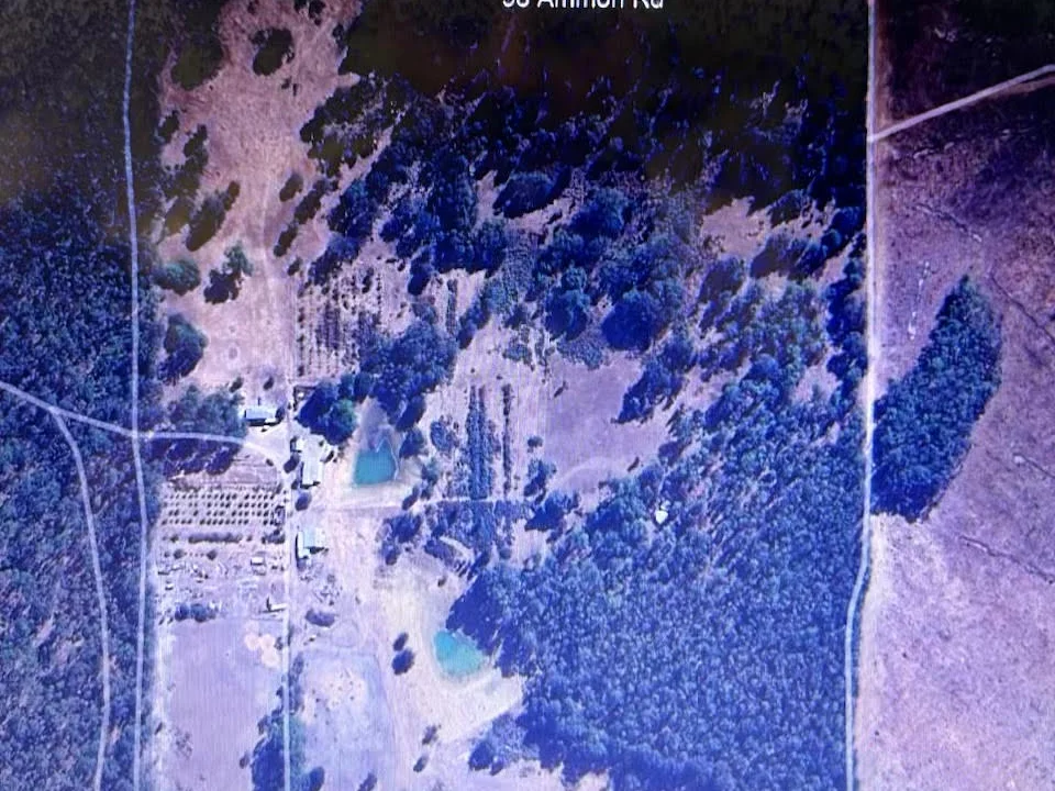 Additional image 4 of 98 Ammon Road, Balingup WA 6253