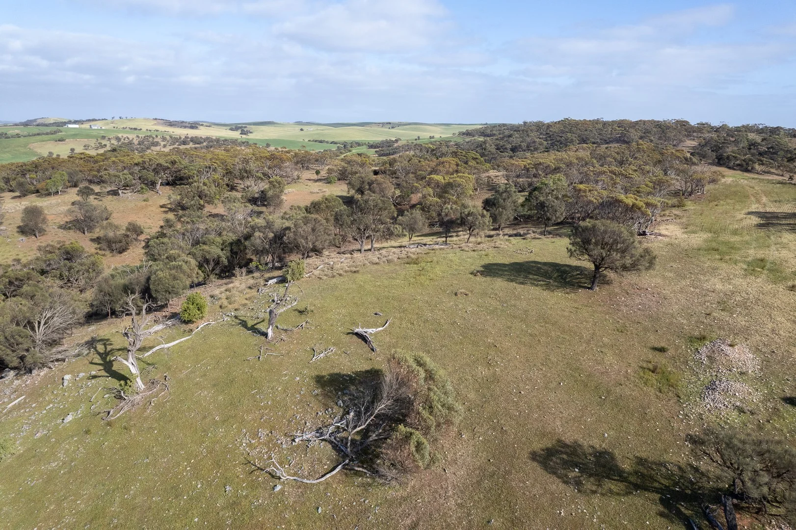 Lots 99 & Bawdens Road, Lipson SA 5607