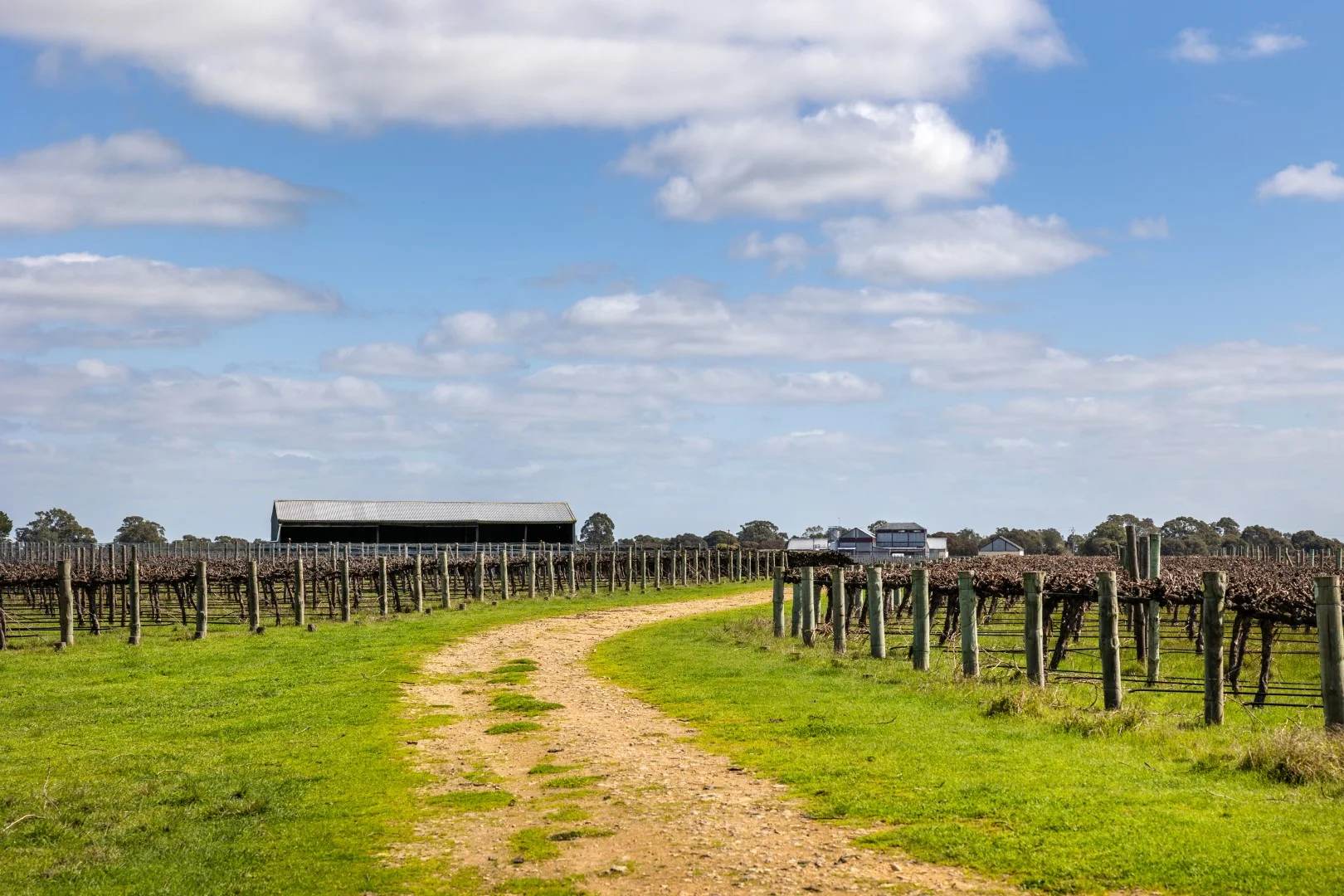 Additional image 28 of 148 McLean Road, Coonawarra SA 5263