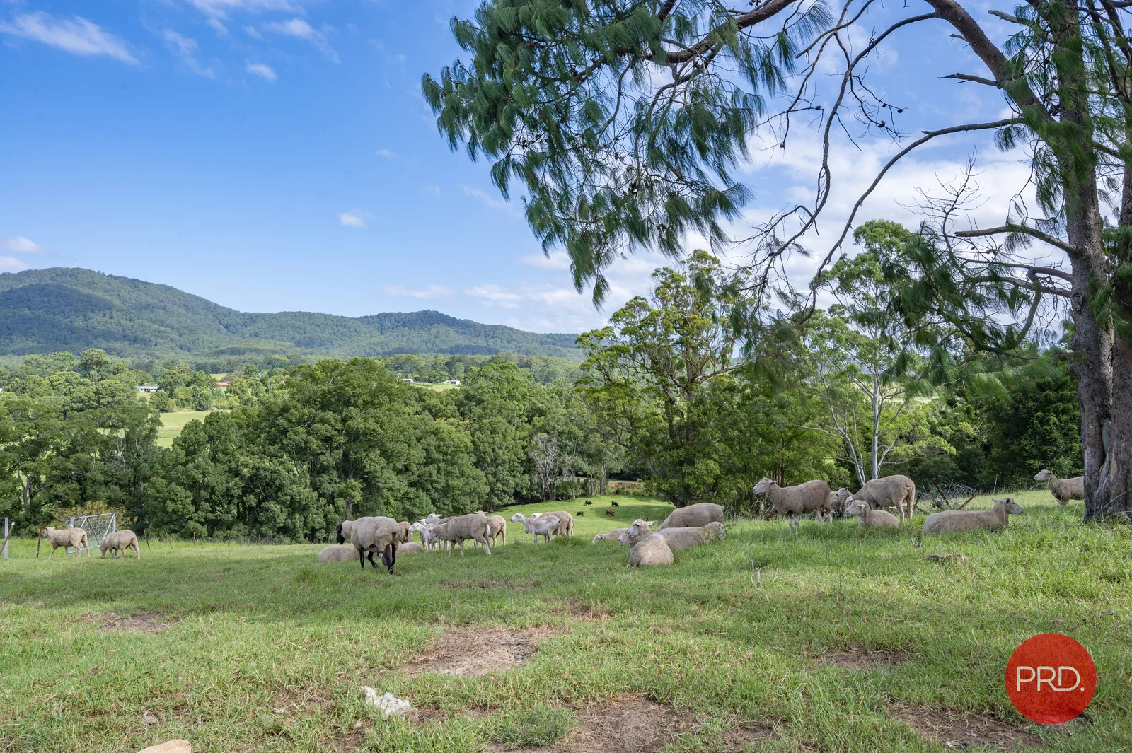 Additional image 30 of 441 Eastbank Road, Coramba NSW 2450