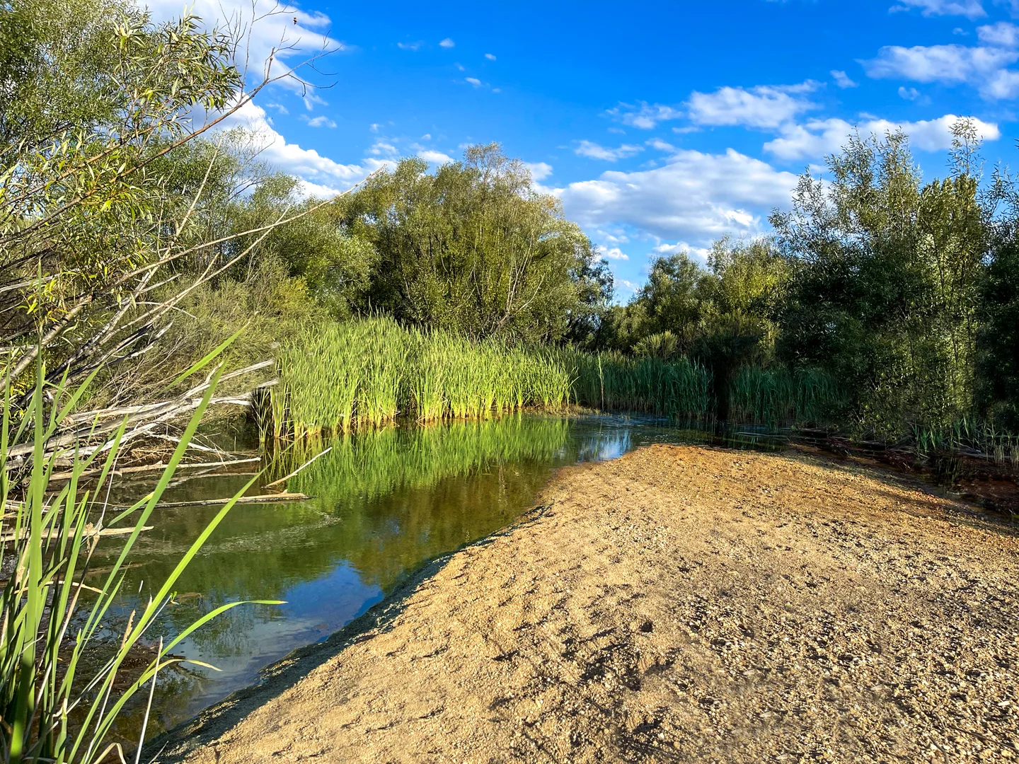 Additional image 35 of 94 Balmain View, Larbert NSW 2622