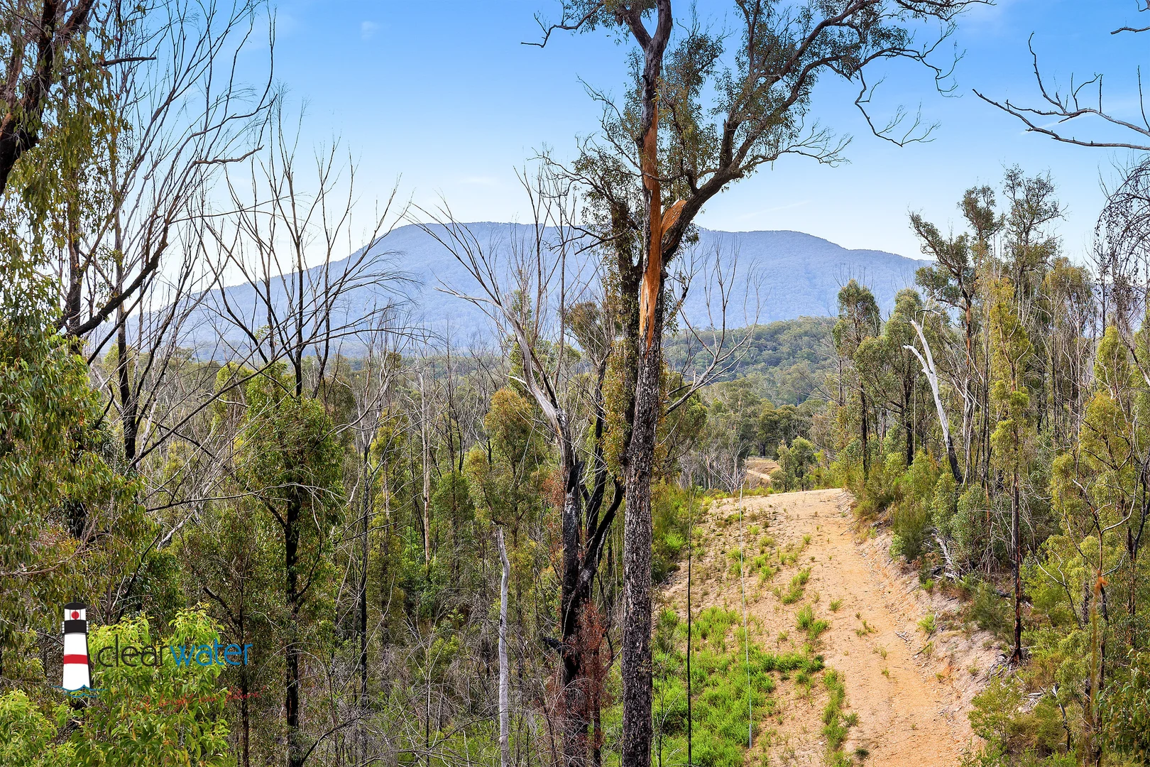 Additional image 4 of Lot 82 DP 819379/438 Cobargo Bermagui Road, Coolagolite NSW 2550