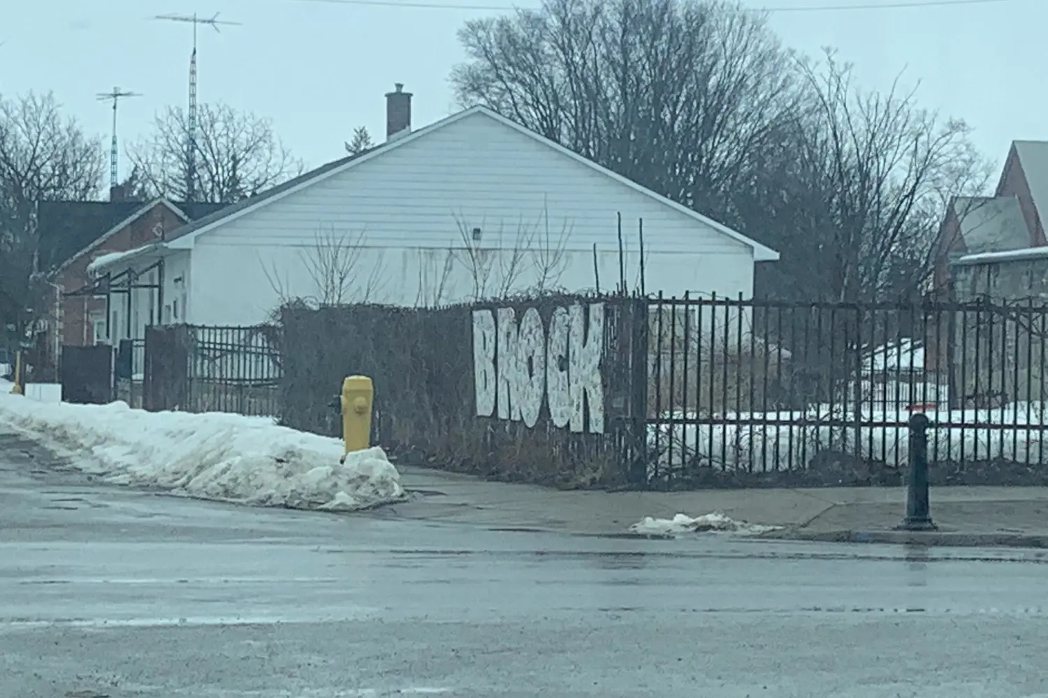 Additional image 20 of 21 Ann Street