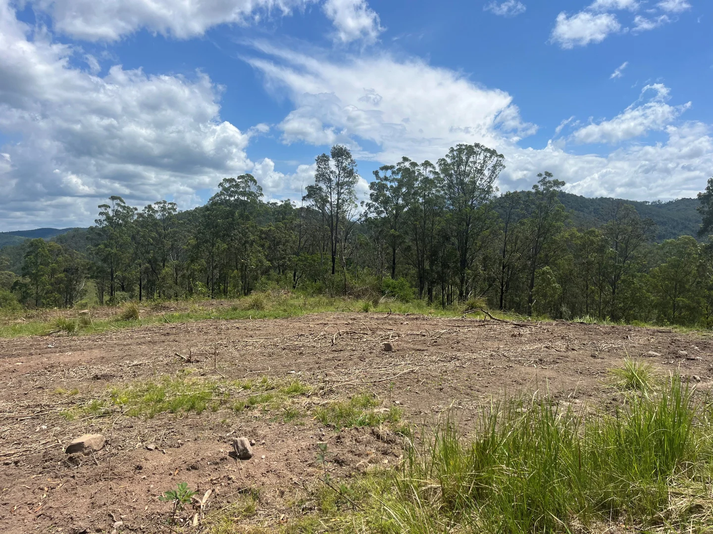 Additional image 8 of Nowendoc Road, Caffreys Flat NSW 2424