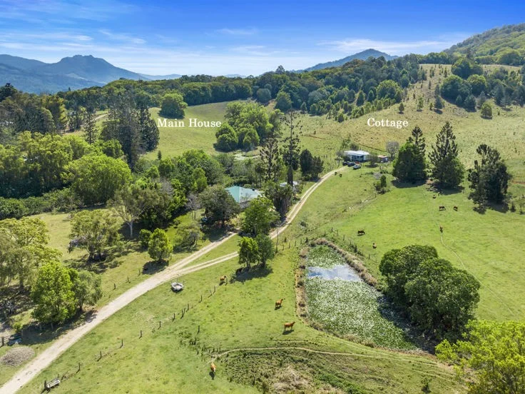 Additional image 10 of 198-220 Tyalgum Road, Murwillumbah NSW 2484