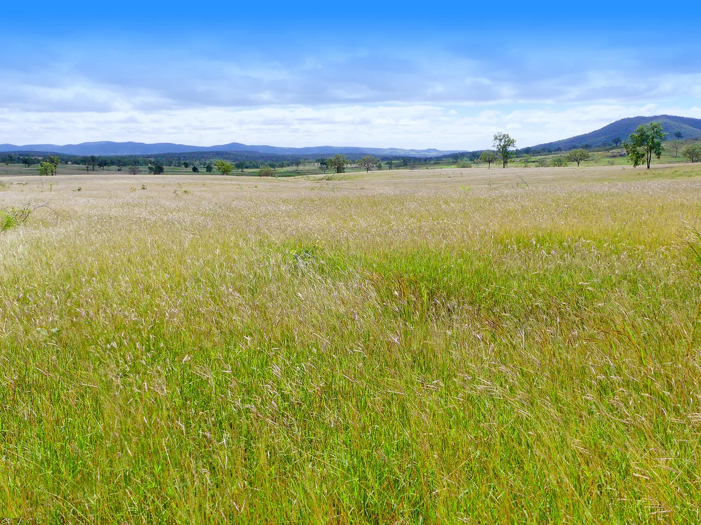 Additional image 22 of 0 'Spring Creek Hollow' Capricorn Highway, Westwood QLD 4702