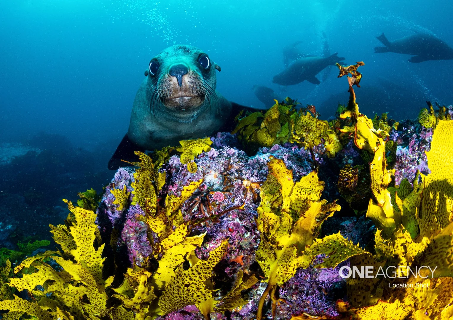 Additional image 12 of b203/4 Murdoch Street, Huskisson NSW 2540