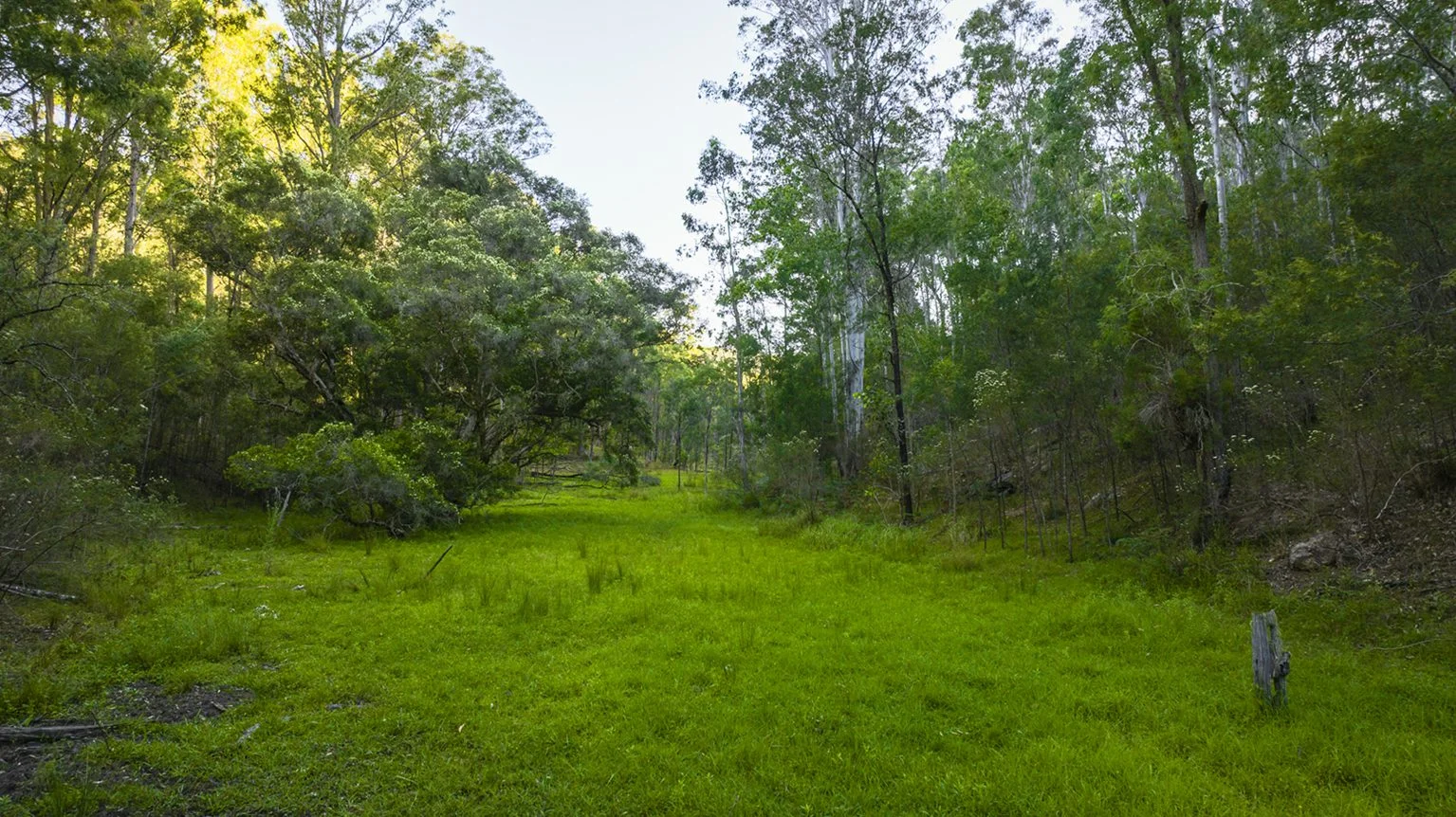 Additional image 22 of 56 Bakers Oven Lane, Laguna NSW 2325