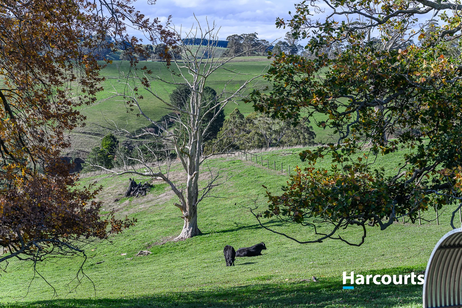 Additional image 45 of 37 Bells Road, Mount Eccles VIC 3953