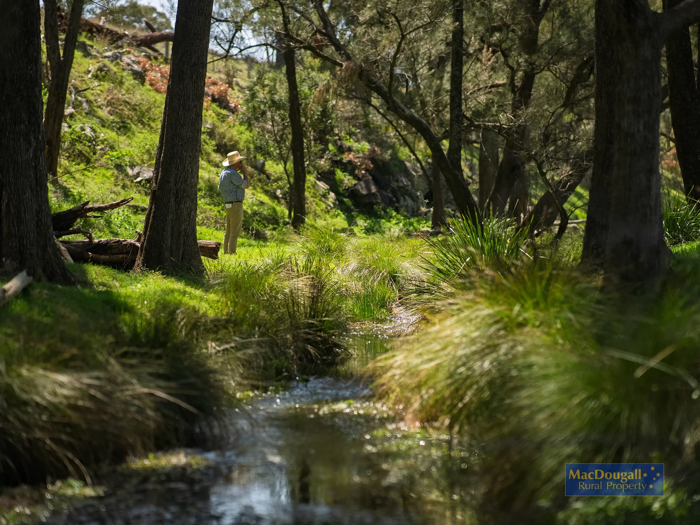 Additional image 24 of 384 Dry Creek Road, Georges Creek NSW 2365