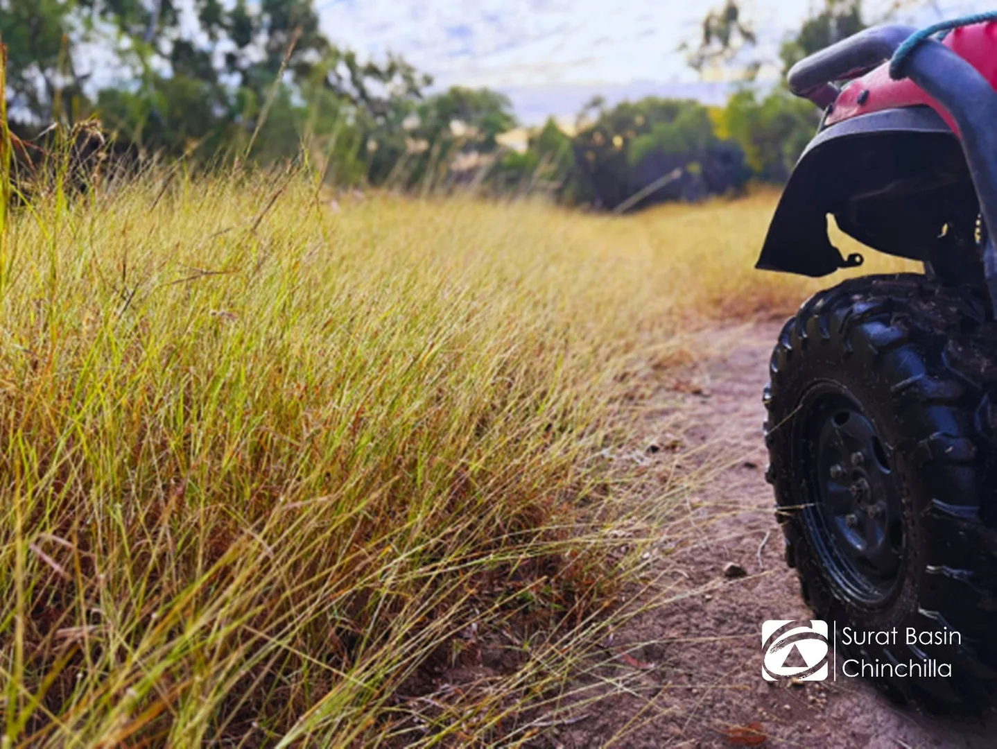 Additional image 22 of Quail Island, Stanage QLD 4702