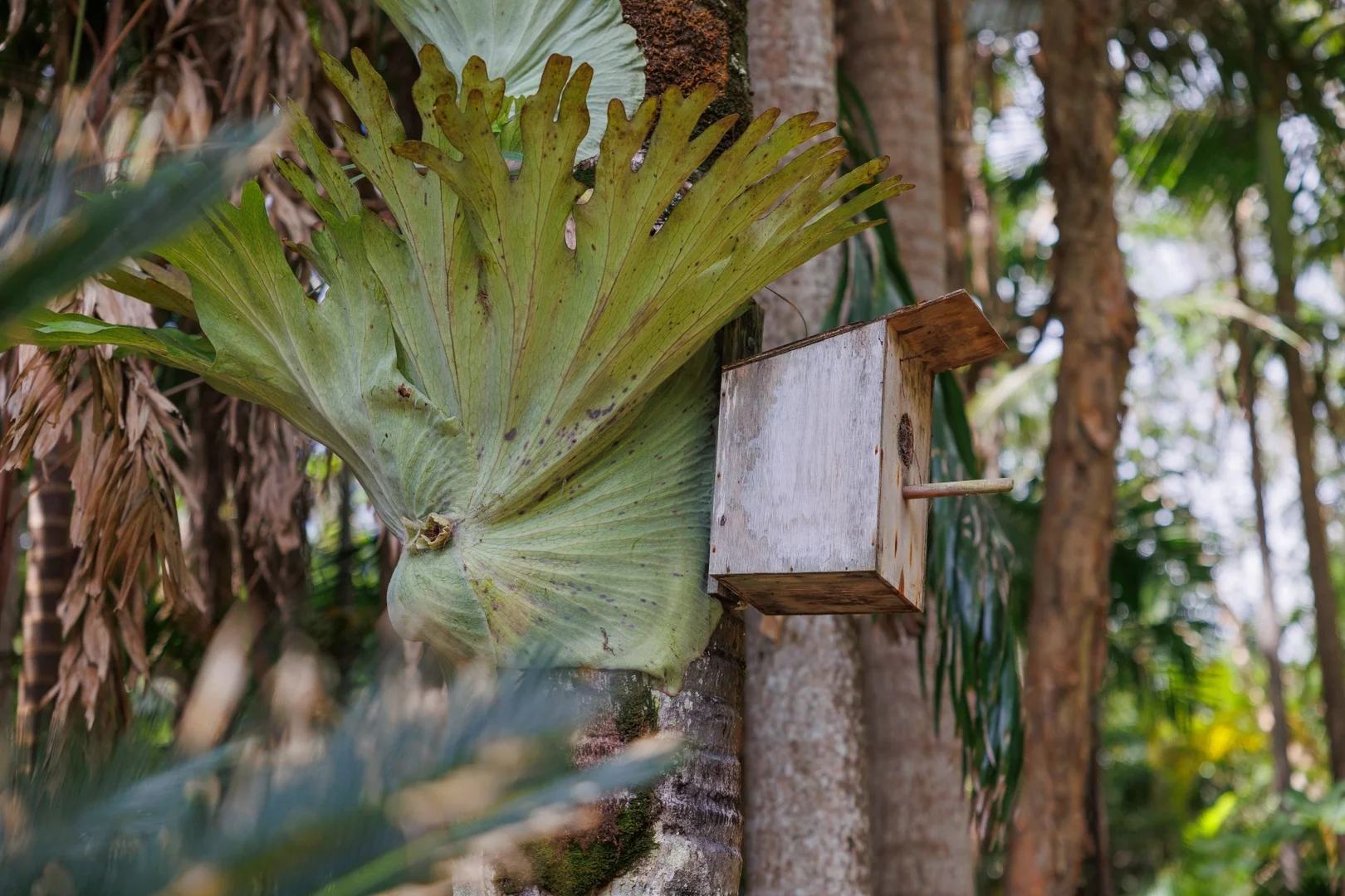 Additional image 5 of 364 Ewingsdale Road, Byron Bay NSW 2481