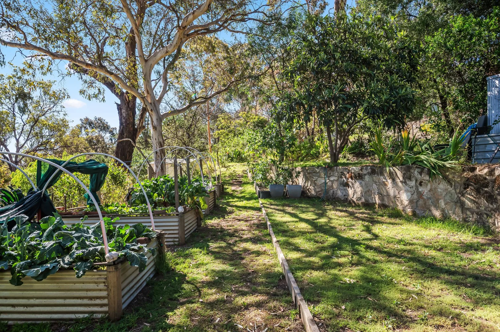 Additional image 16 of 41 Waite Street, Blackwood SA 5051