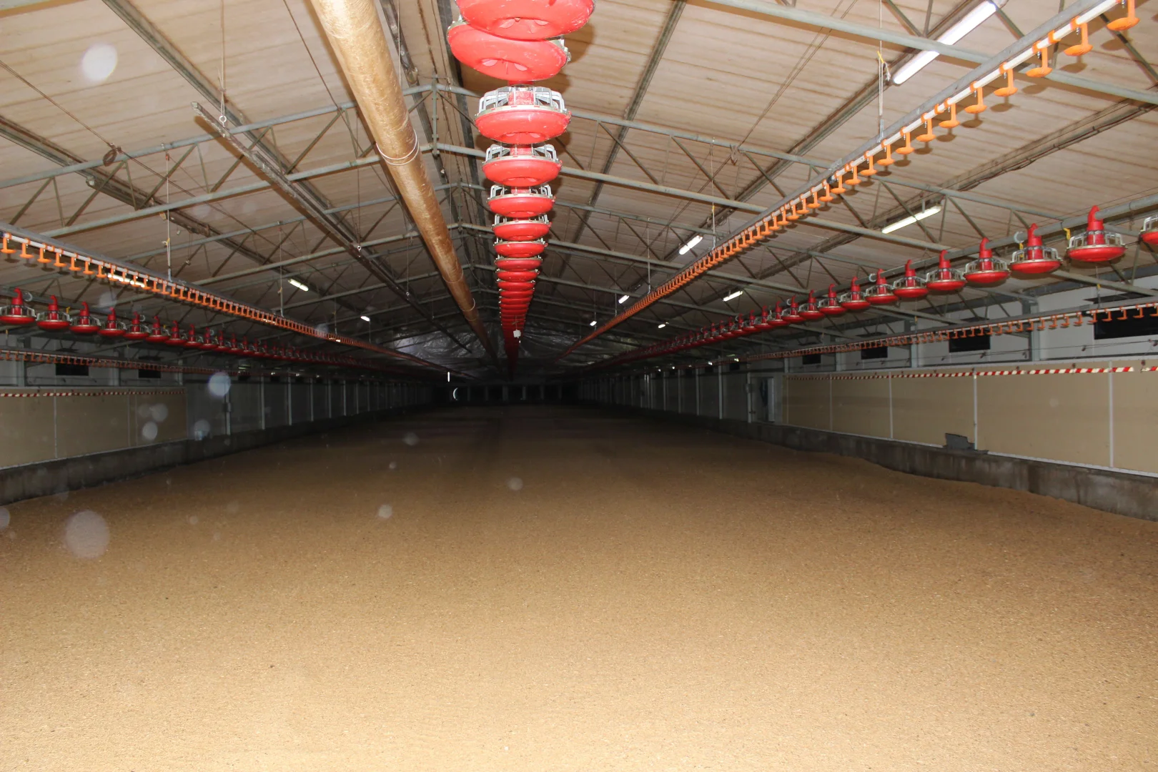 Additional image 9 of Tolga QLD 4882