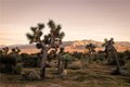 Additional image 21 of 5376 Linda Lee Dr, Yucca Valley, CA, 92284