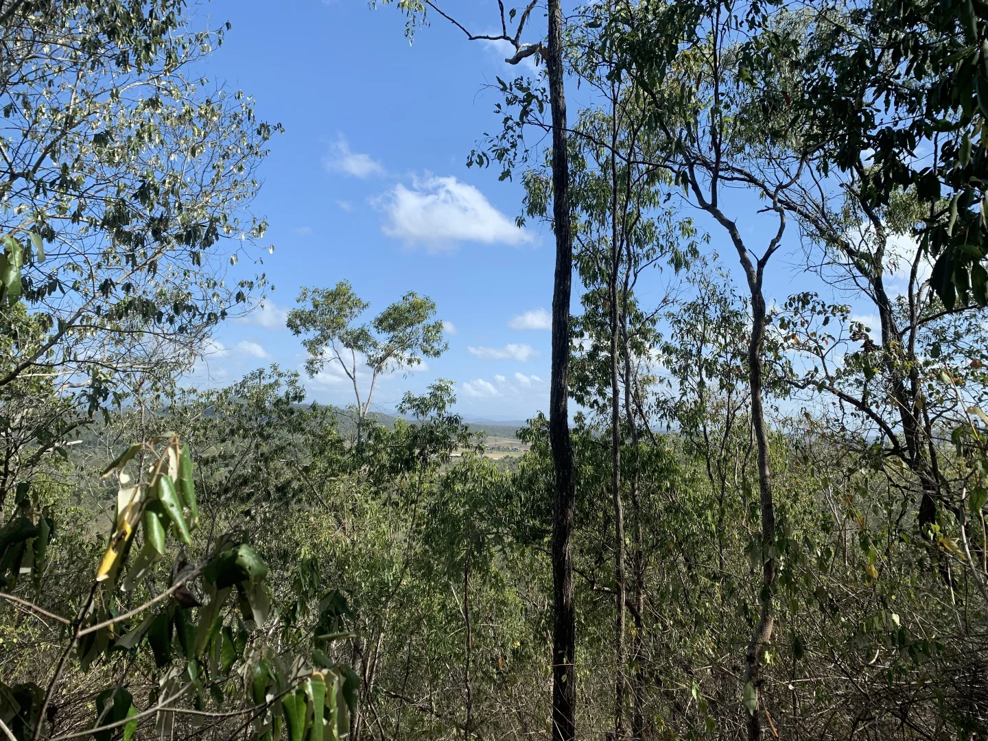 Additional image 14 of LOT 36 Whitsunday Dr, Bloomsbury QLD 4799