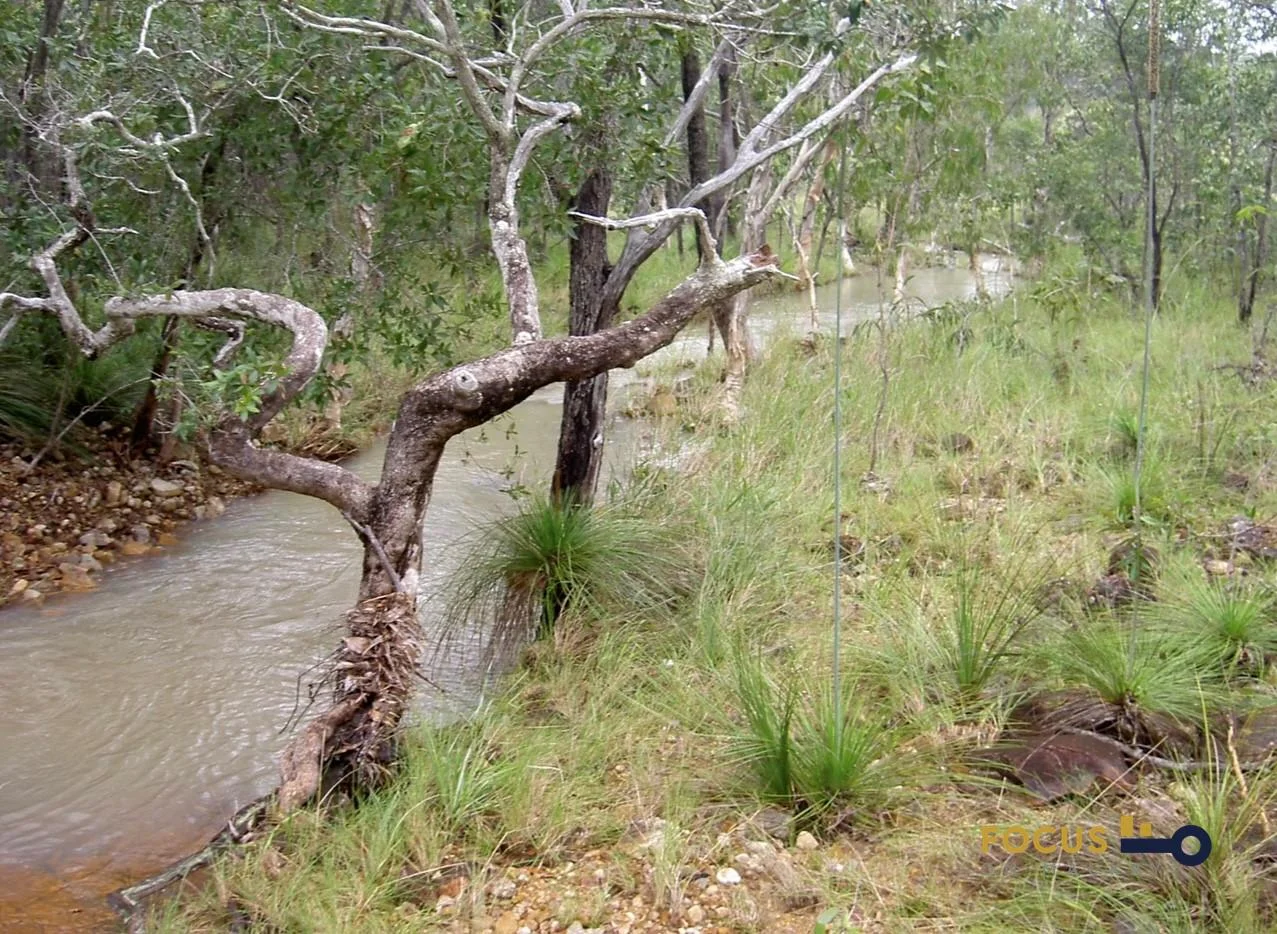 Additional image 5 of 285 Cape Palmerston Rd, Ilbilbie QLD 4738