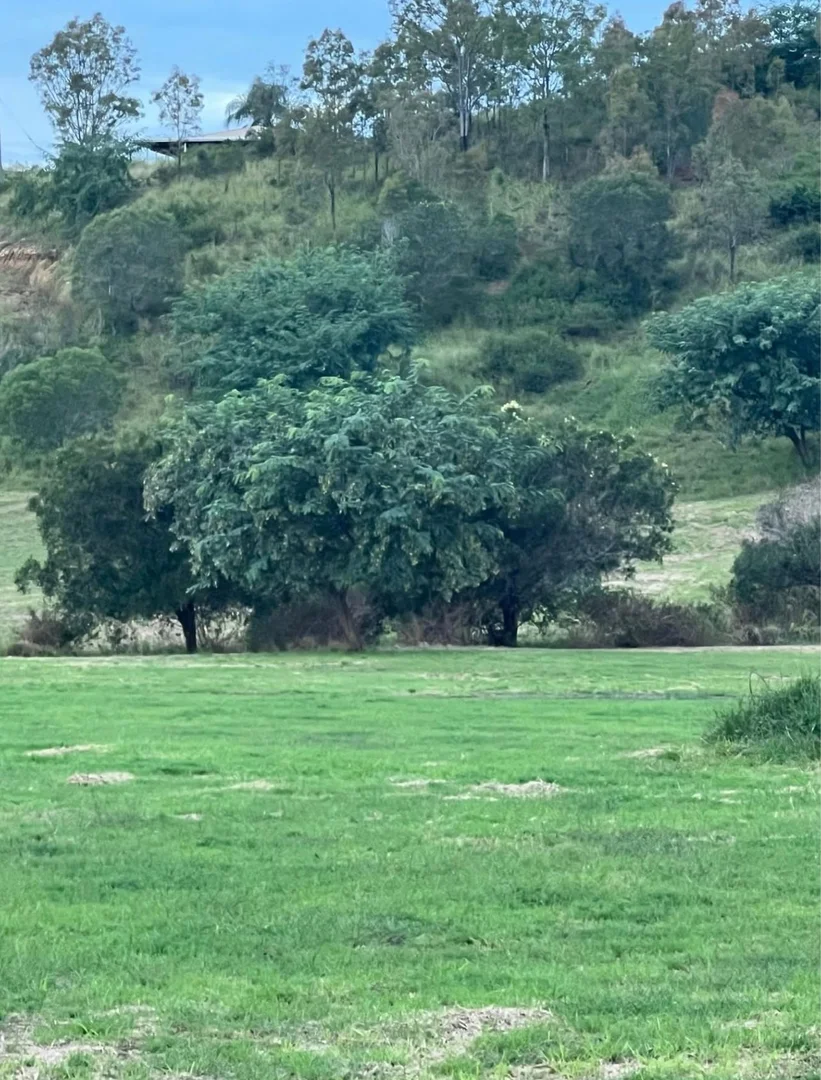 Additional image 4 of Coolana QLD 4311