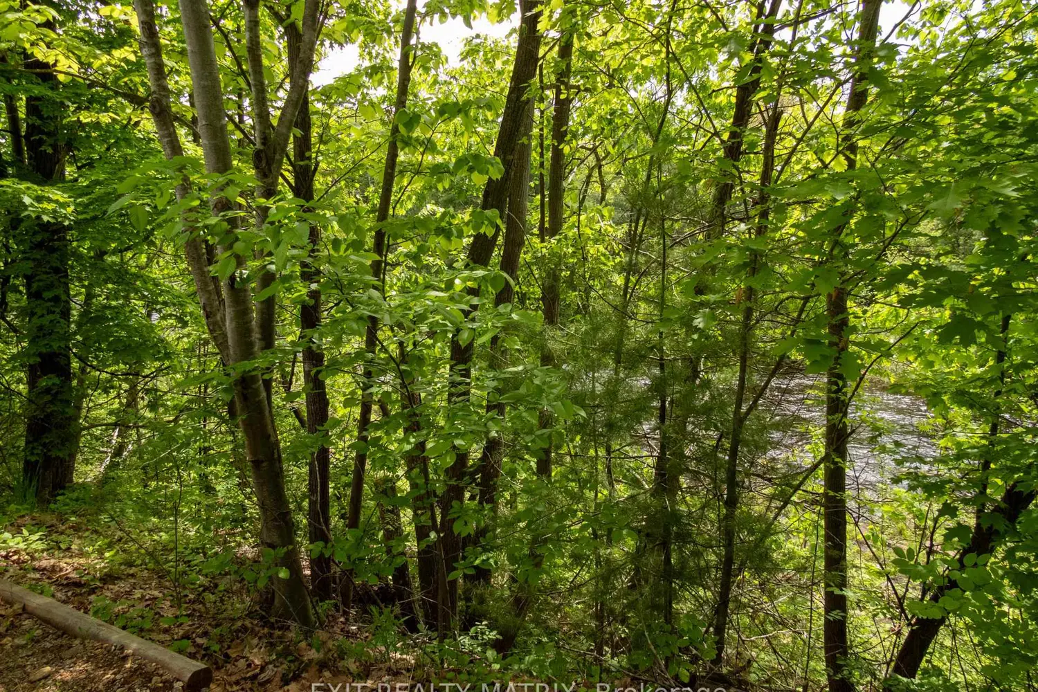 Additional image 13 of 12654 Lanark Road