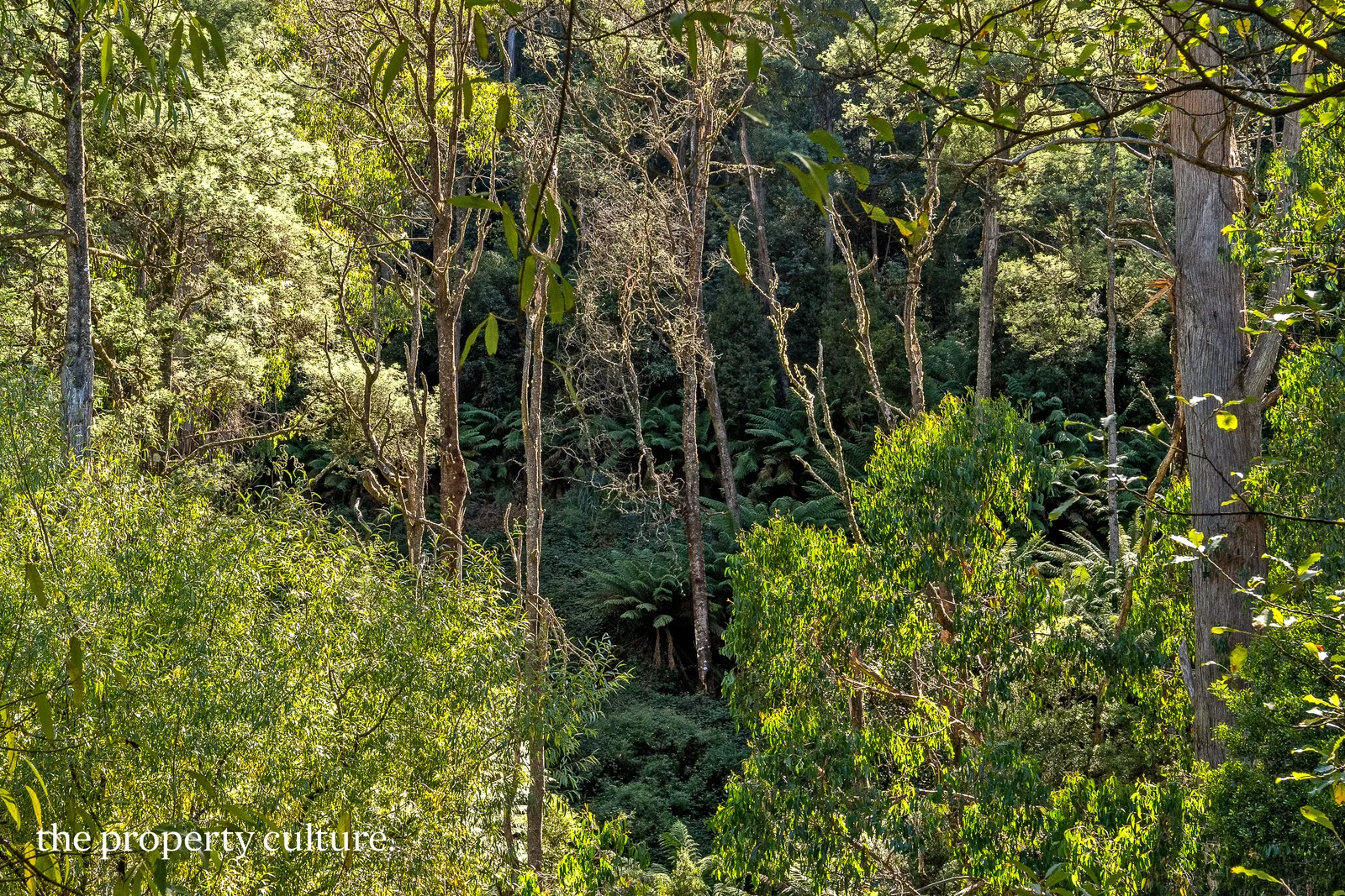 Additional image 22 of 126 New Road, Franklin TAS 7113