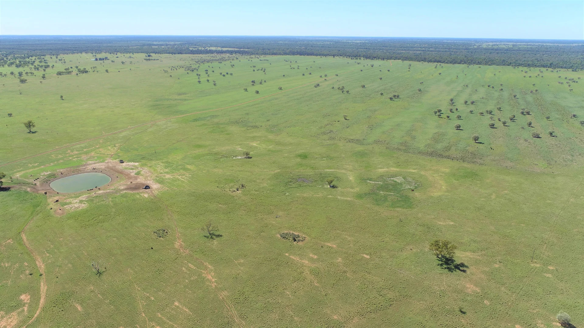 Additional image 11 of "Bonavista" 13724 Mitchell - St George road, Roma QLD 4455