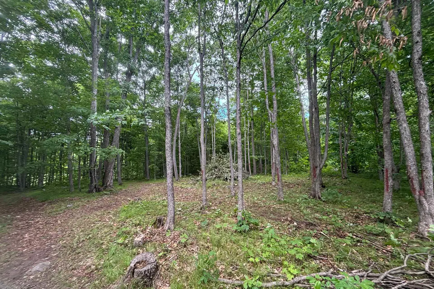 Additional image 6 of 554 Pigden Road Severed B