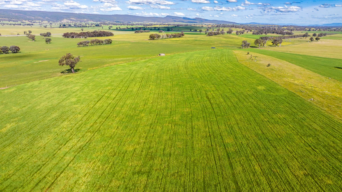 Additional image 25 of 1791 Olympic Highway, Culcairn NSW 2660