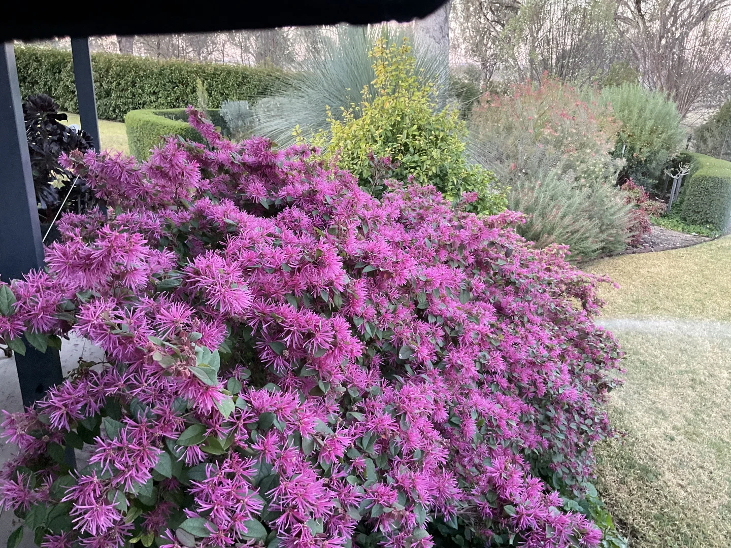 Additional image 18 of Inverell NSW 2360