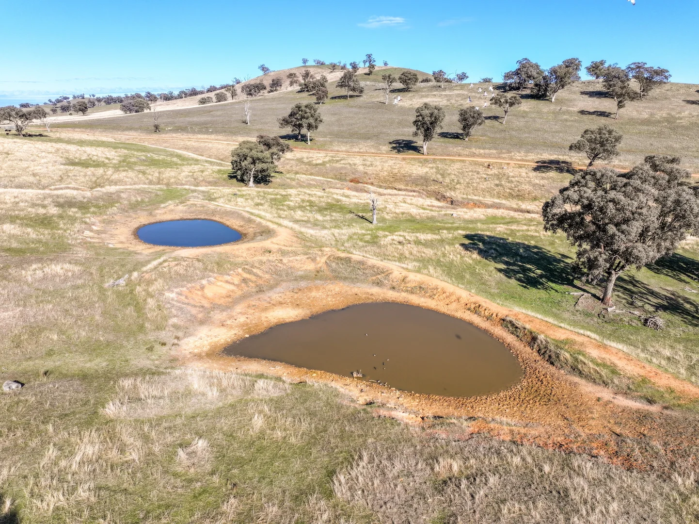 Additional image 11 of 444 Hoares Lane, Muttama NSW 2722