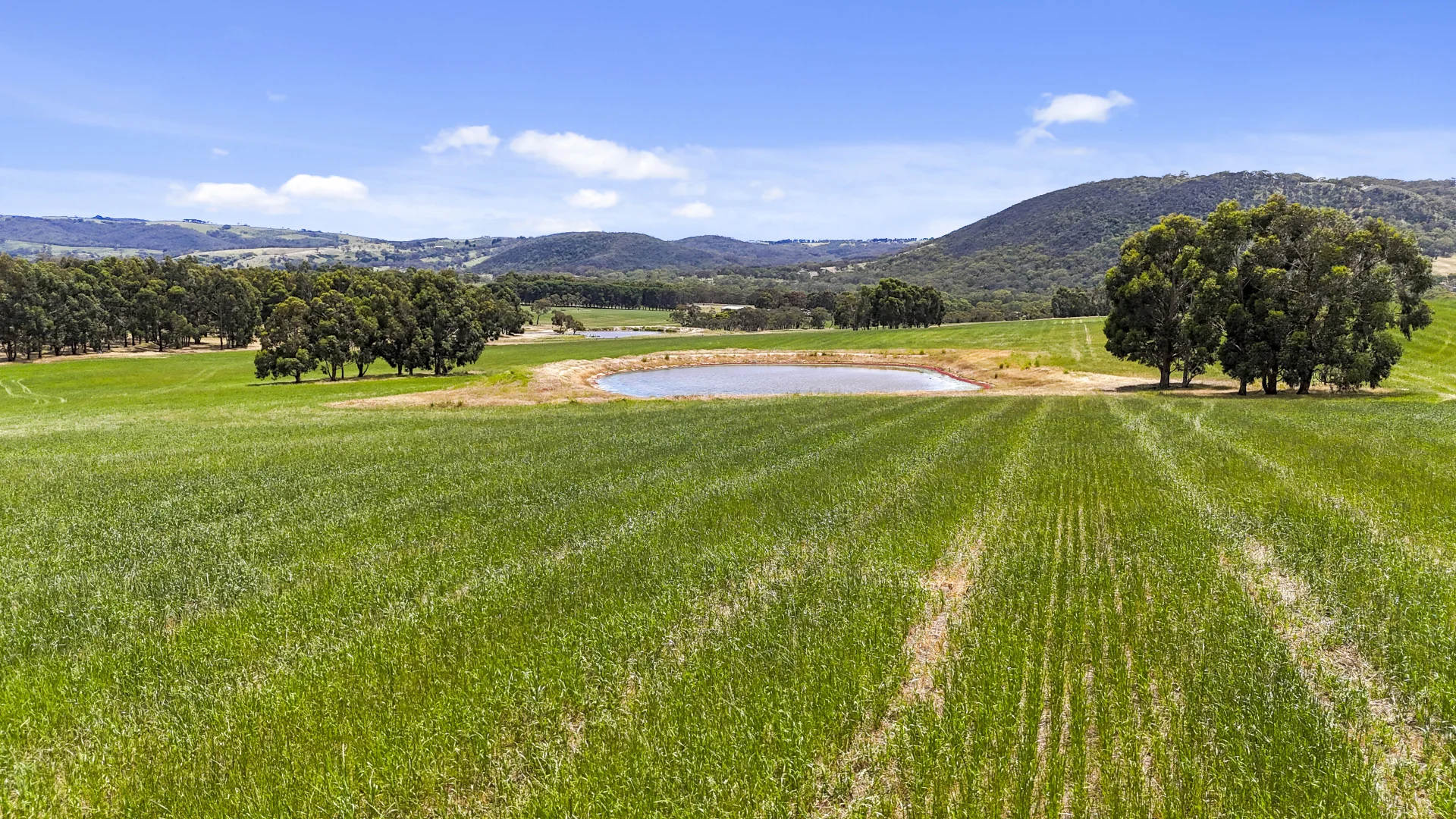 Additional image 12 of 228 Hutchinson Road, Hindmarsh Valley SA 5211