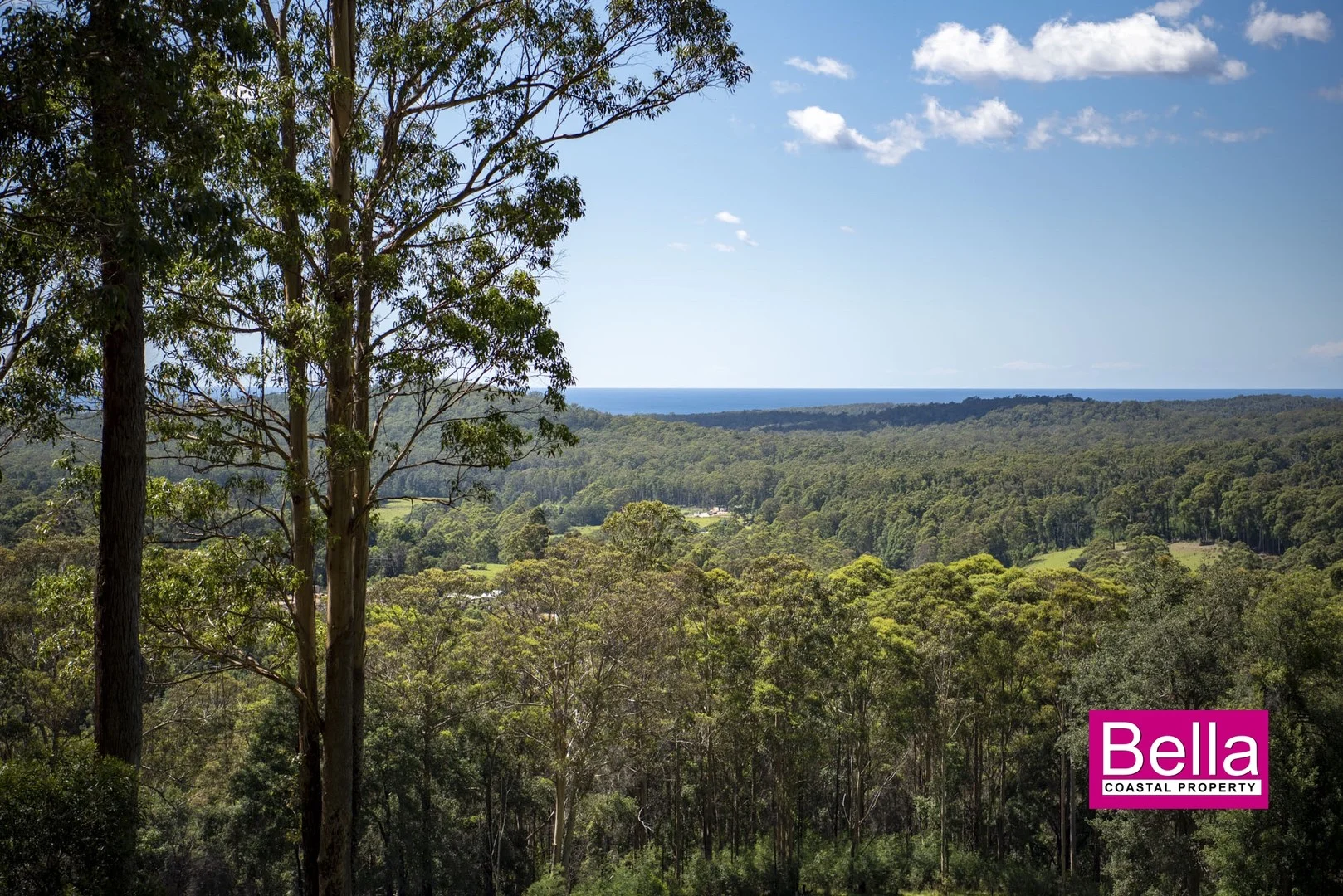 Additional image 3 of 41 Old Coach Road, Termeil NSW 2539