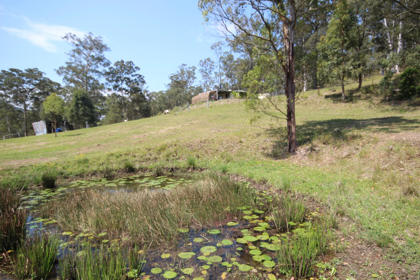 Additional image 18 of 1085 Pappinbarra Road, Lower Pappinbarra NSW 2446