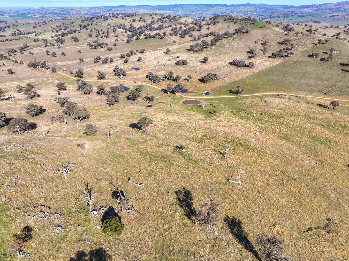 Additional image 9 of 444 Hoares Lane, Muttama NSW 2722
