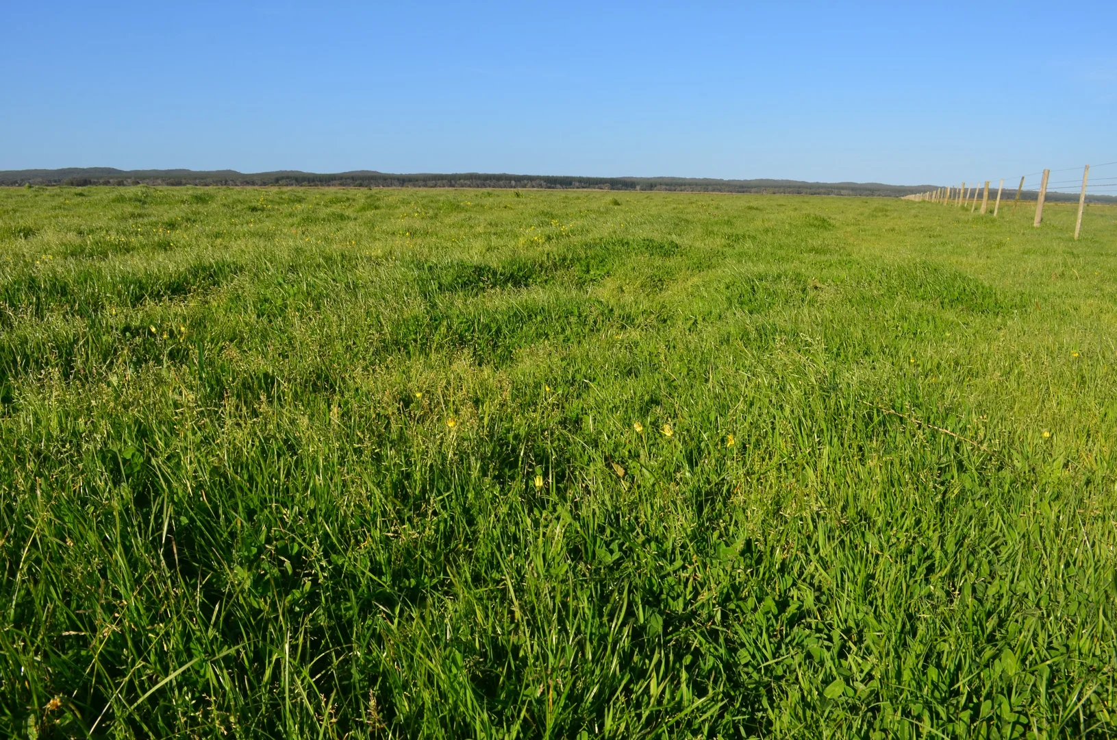 Additional image 8 of Lot 2 & 32 Southern Ports Highway, Robe SA 5276