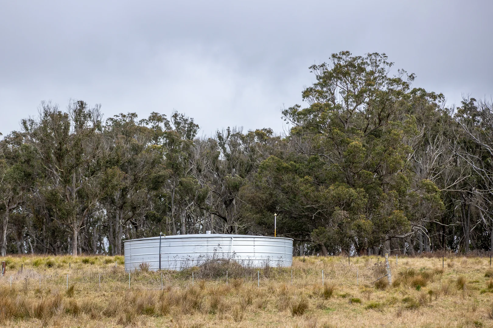 Additional image 7 of 737 Dyamberin Road, Wongwibinda NSW 2350