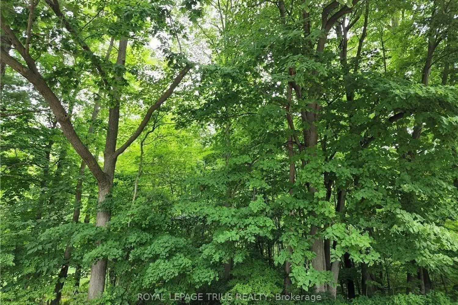 Additional image 4 of Pt Lt 20 7Th Concession Road