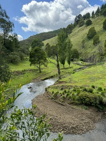 Additional image 23 of 160 Morwell River East Branch Road, Grand Ridge VIC 3870