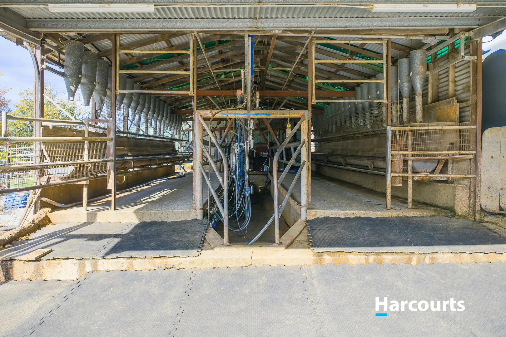 Additional image 11 of 37 Bells Road, Mount Eccles VIC 3953