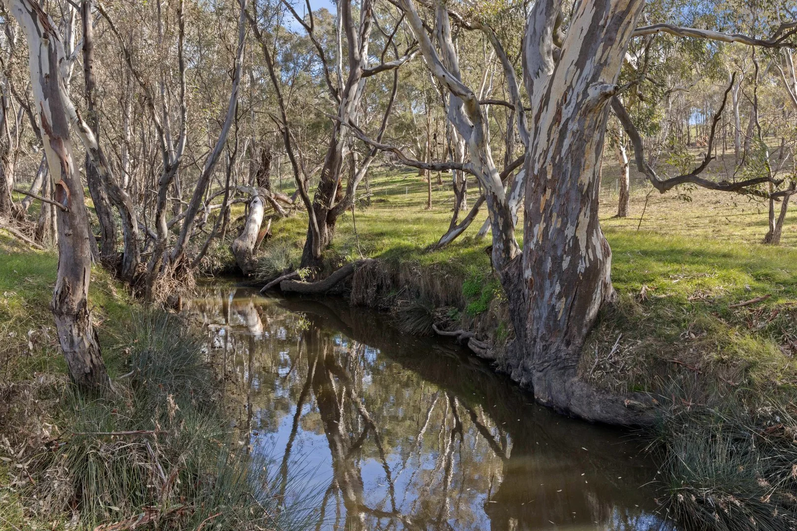 Additional image 8 of 202 Axedale-Kimbolton Road, Axedale VIC 3551