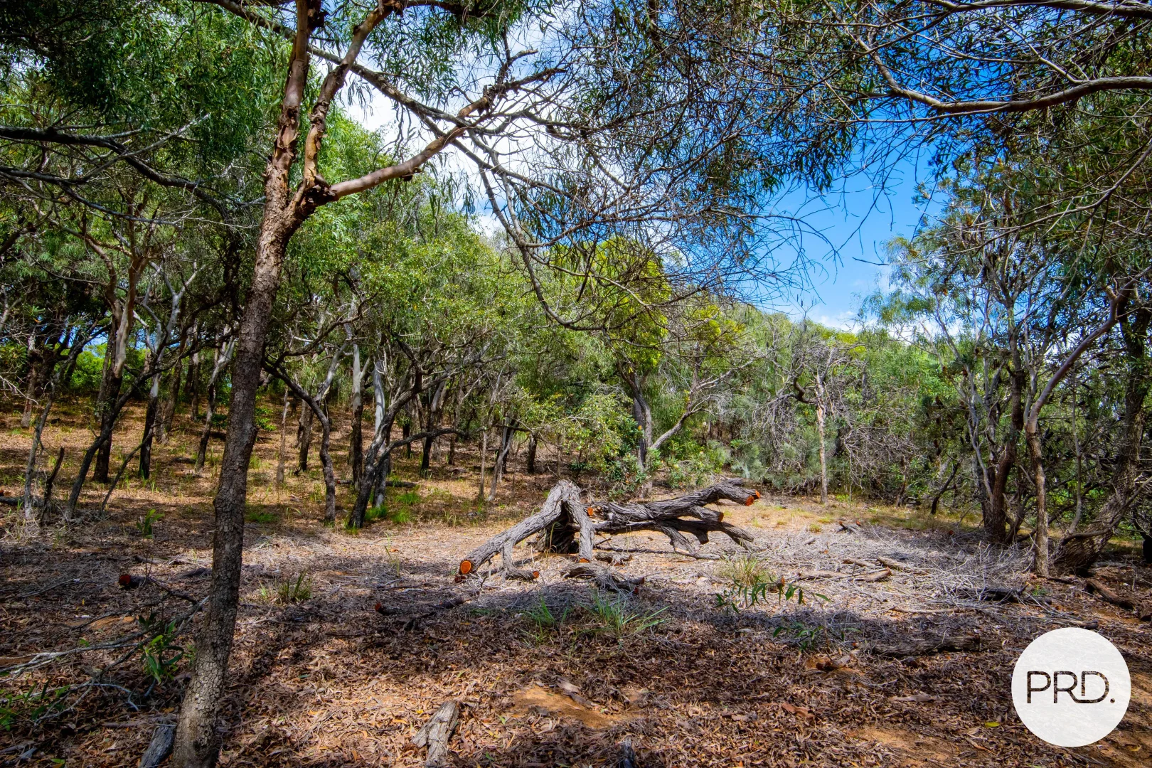 Additional image 9 of 127 Sunbird Avenue, Agnes Water QLD 4677