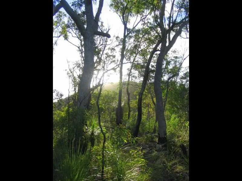 Additional image 10 of Captain Creek QLD 4677