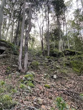 Additional image 16 of 52A Lilly Pilly Lane, Tapitallee NSW 2540