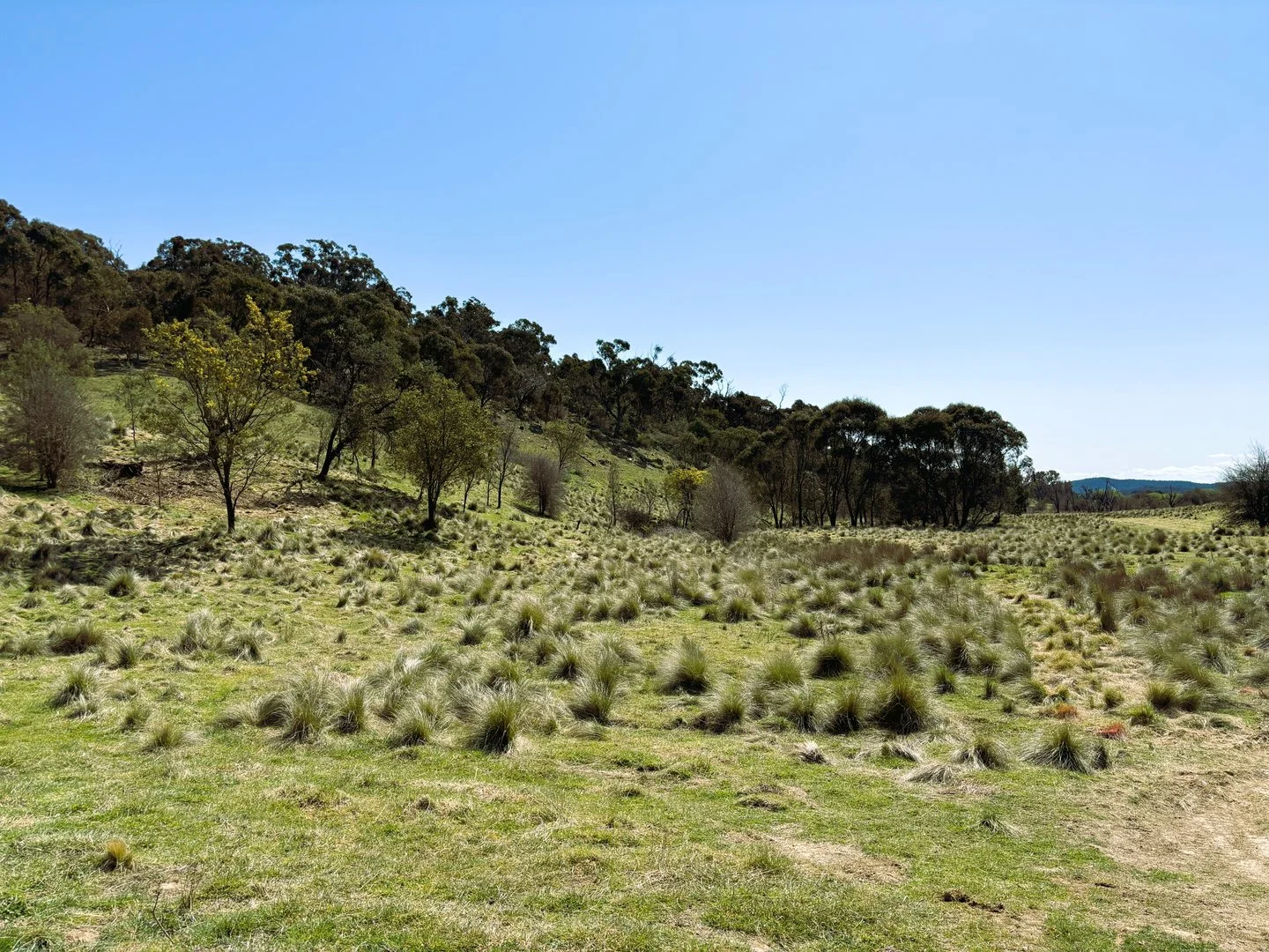 Additional image 8 of 22 Top Flat Lane, Wamboin NSW 2620