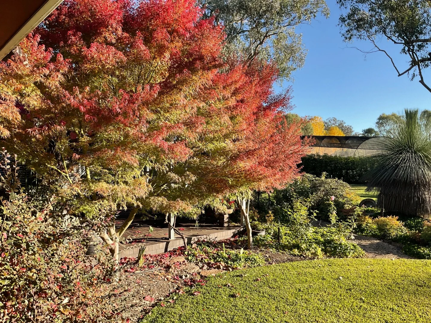 Additional image 19 of Inverell NSW 2360