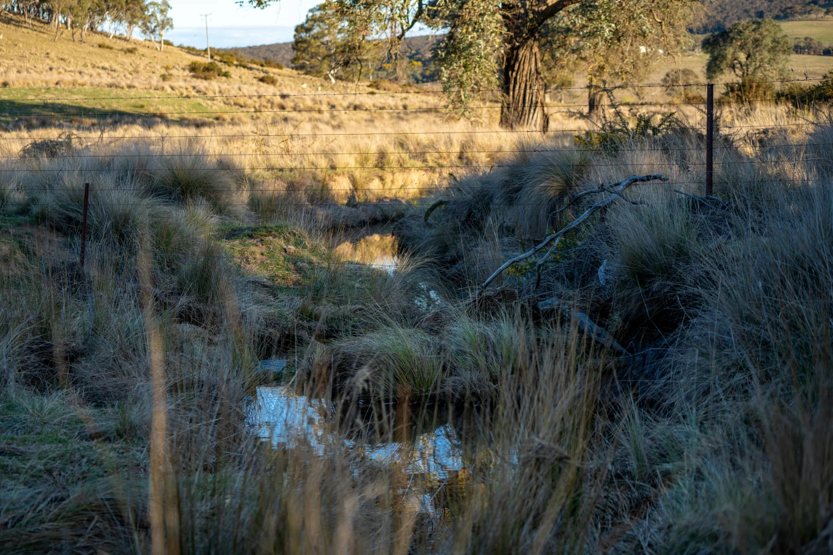 Additional image 14 of 785 Thornford Road, Goulburn NSW 2580