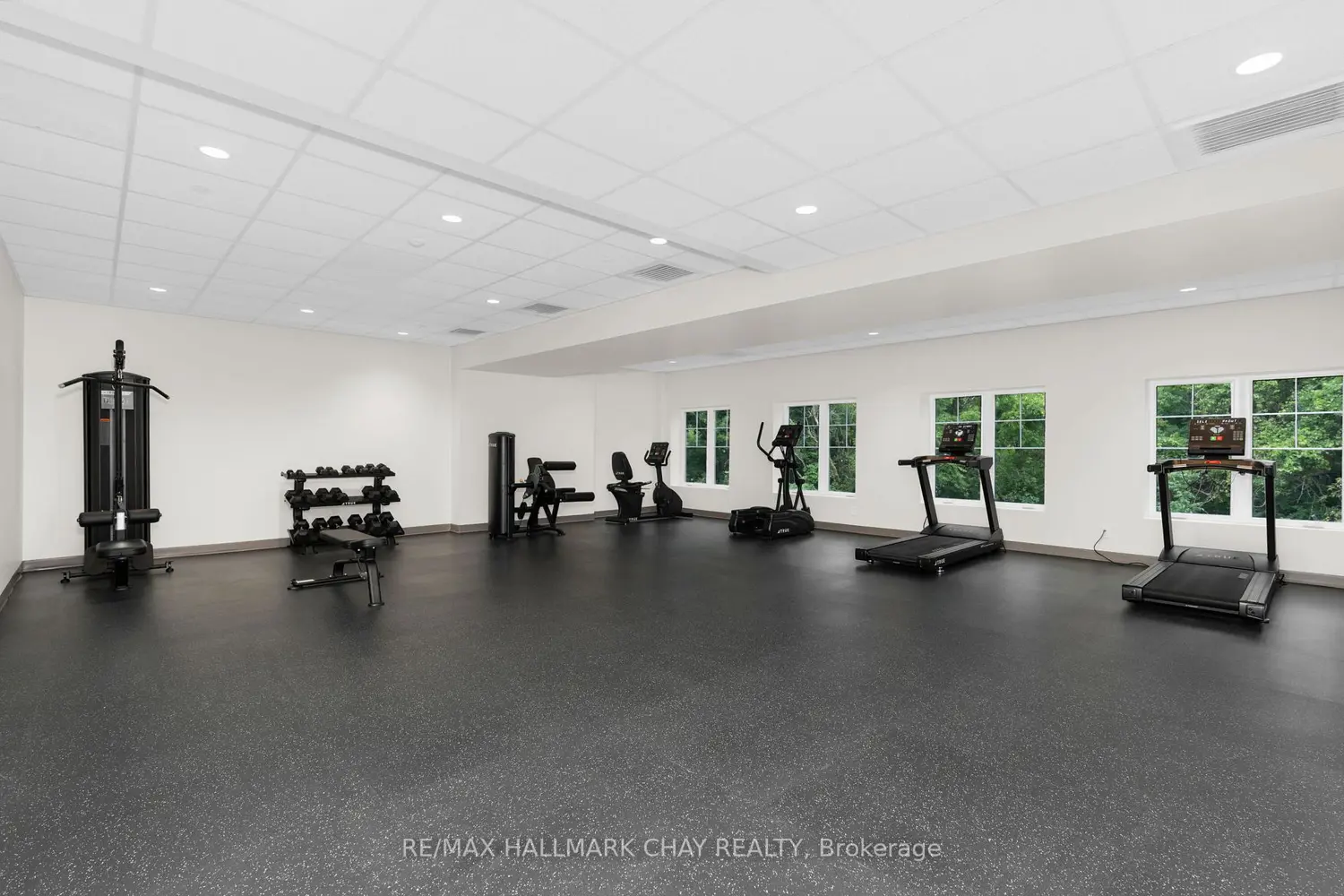 Additional image 11 of 121 Mary Street 224