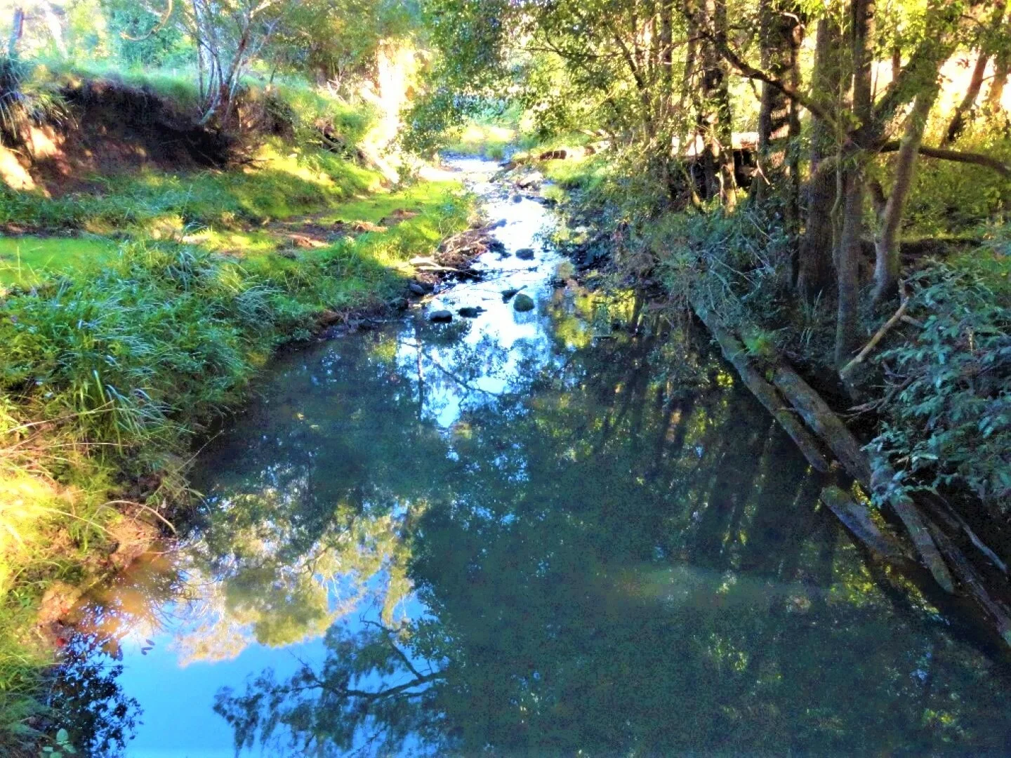 Additional image 3 of 1810 Afterlee Rd, Kyogle NSW 2474