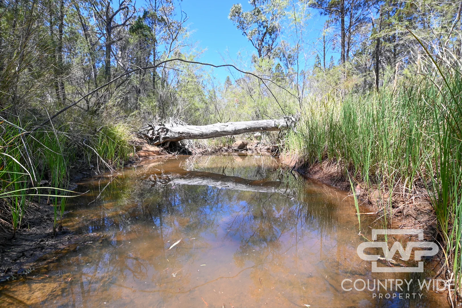 Additional image 9 of 11 Old Stannifer Road, Gilgai NSW 2360