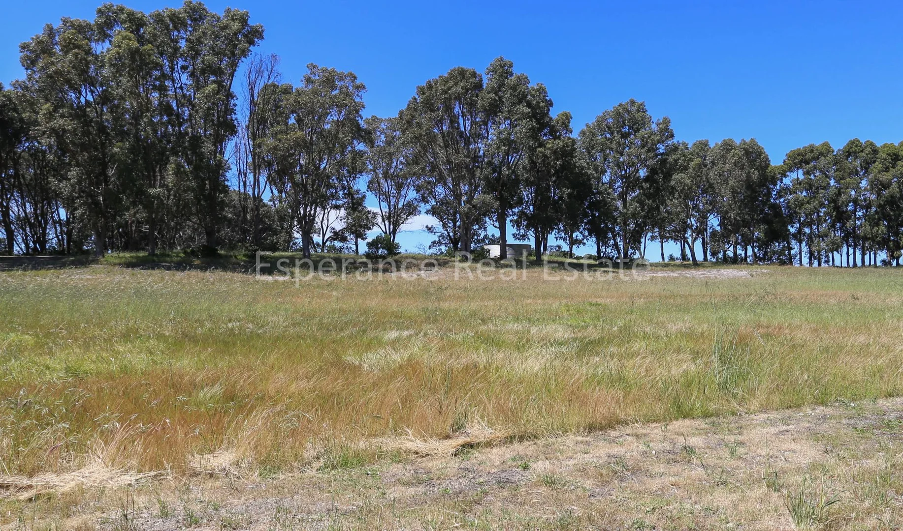 Additional image 8 of Lot 72 Bandy Creek Road, Bandy Creek WA 6450